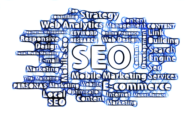 volba seo